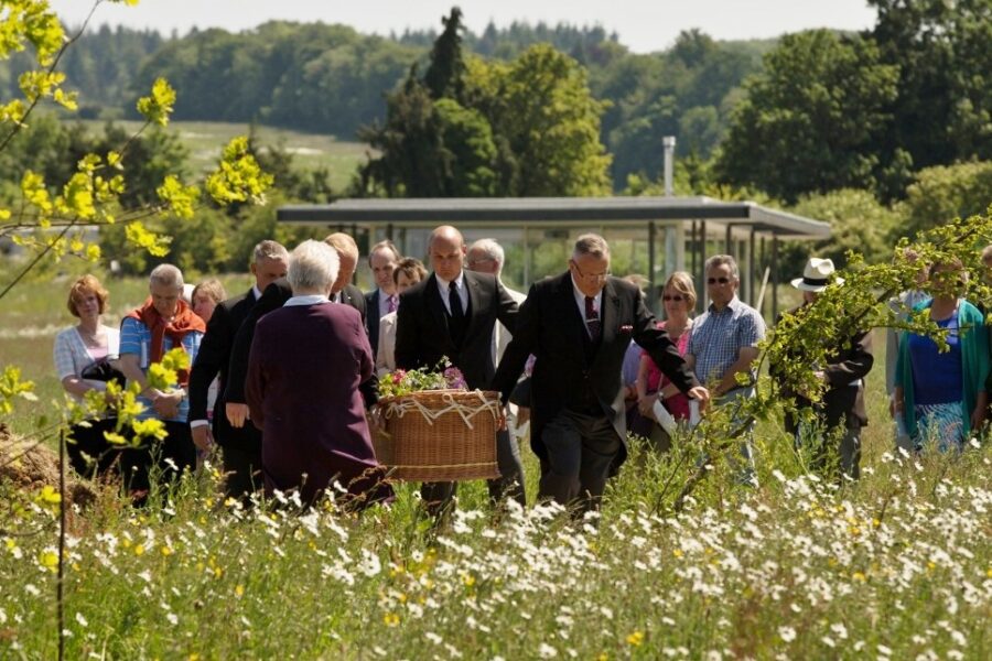Traditional vs. Cremation: Understand Your Options