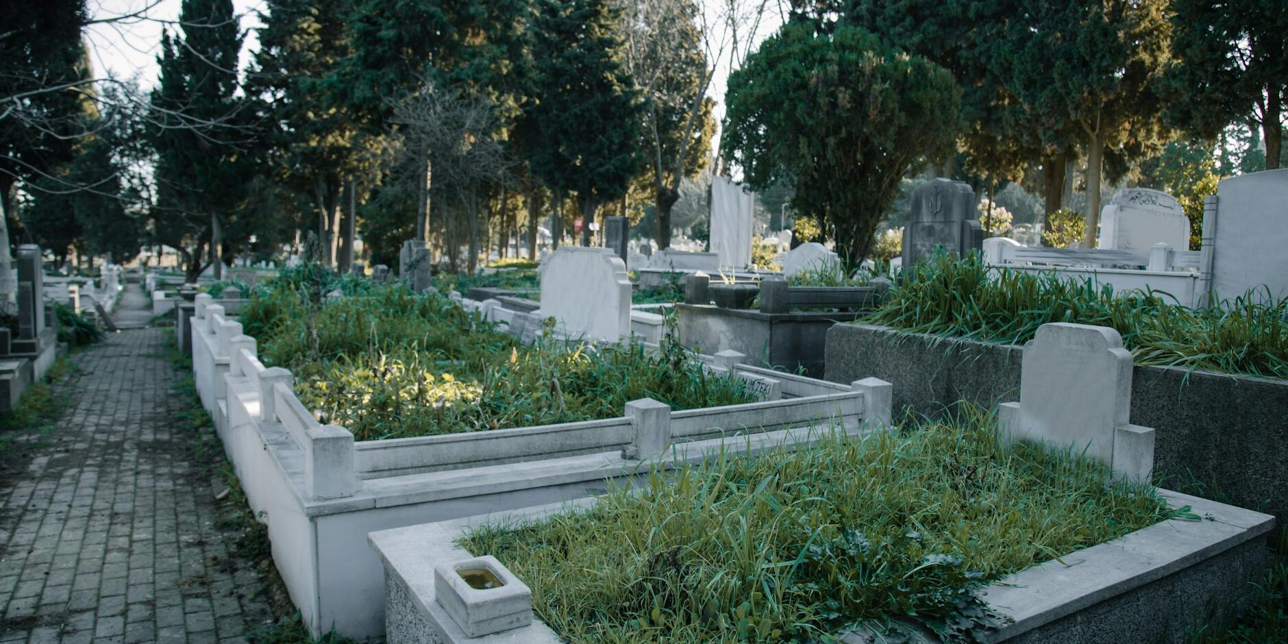 wp_auto_blogger_compassionate-funeral-services_1730285195 Compassionate Funeral Services