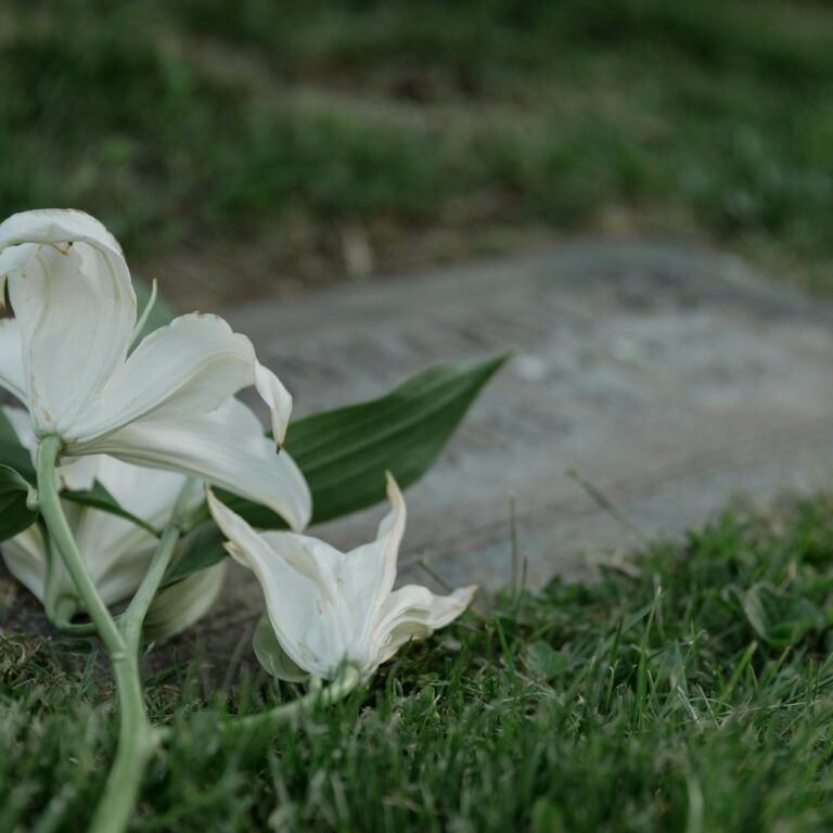 Compassionate Funeral Choices