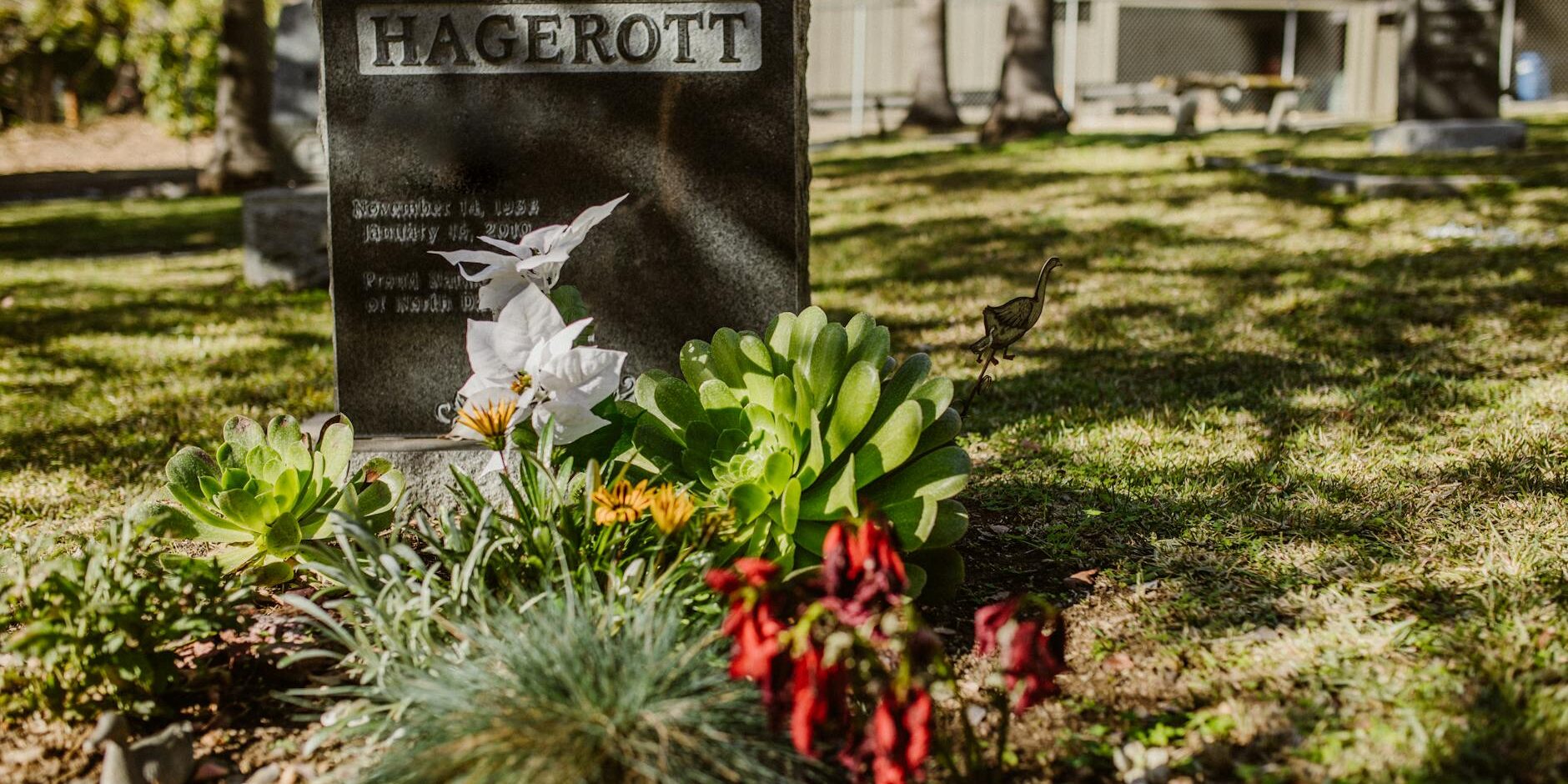 Same Day Funeral Services Bishops Stortford Same Day Funeral Services Bishops Stortford