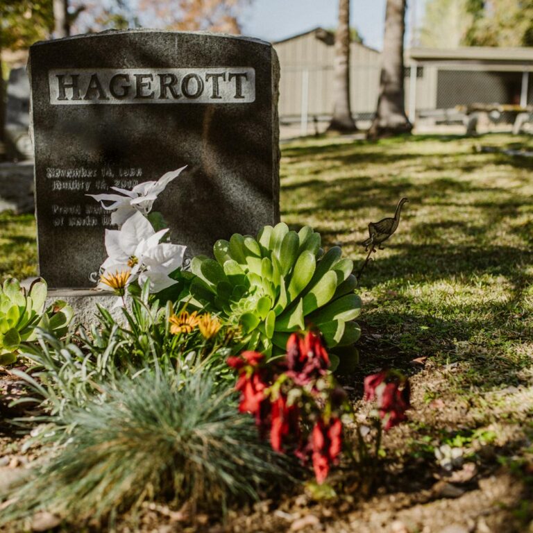 Same Day Funeral Services Bishops Stortford Same Day Funeral Services Bishops Stortford