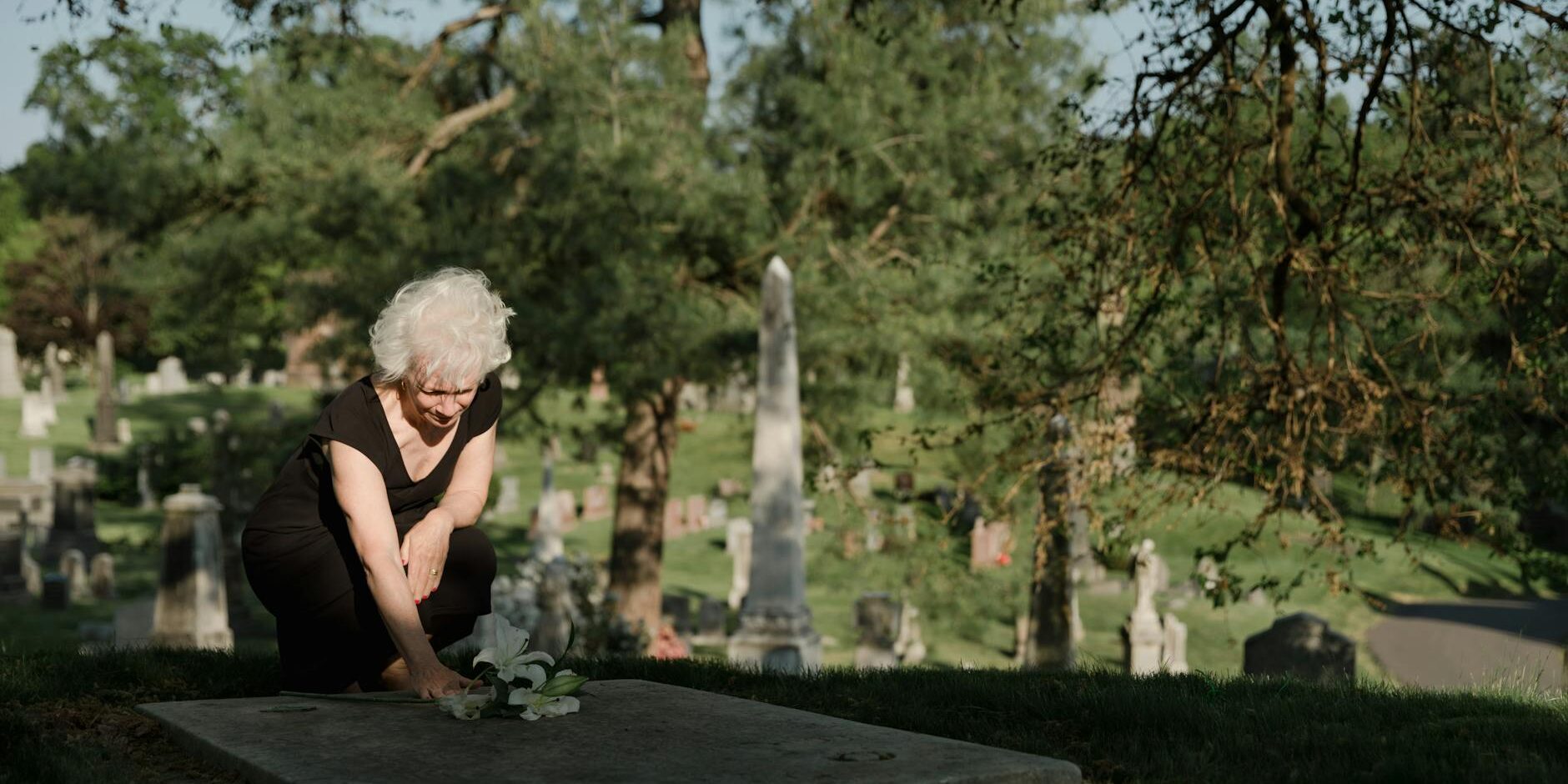 wp_auto_blogger_compassionate-funeral-guide_1738751609 Compassionate Funeral Guide