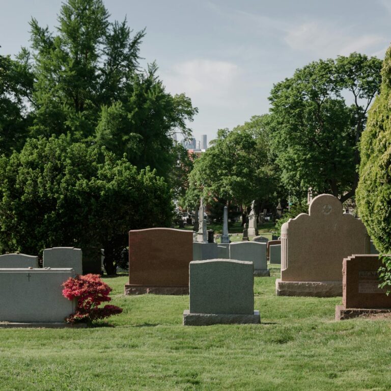 What’s the Average Cost of a Funeral in Harlow?-funeral-care_1741603719 What’s the Average Cost of a Funeral in Harlow?