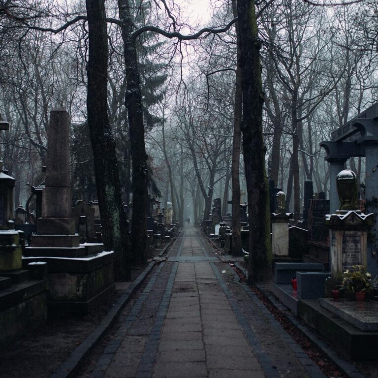 Compassionate Funeral Services