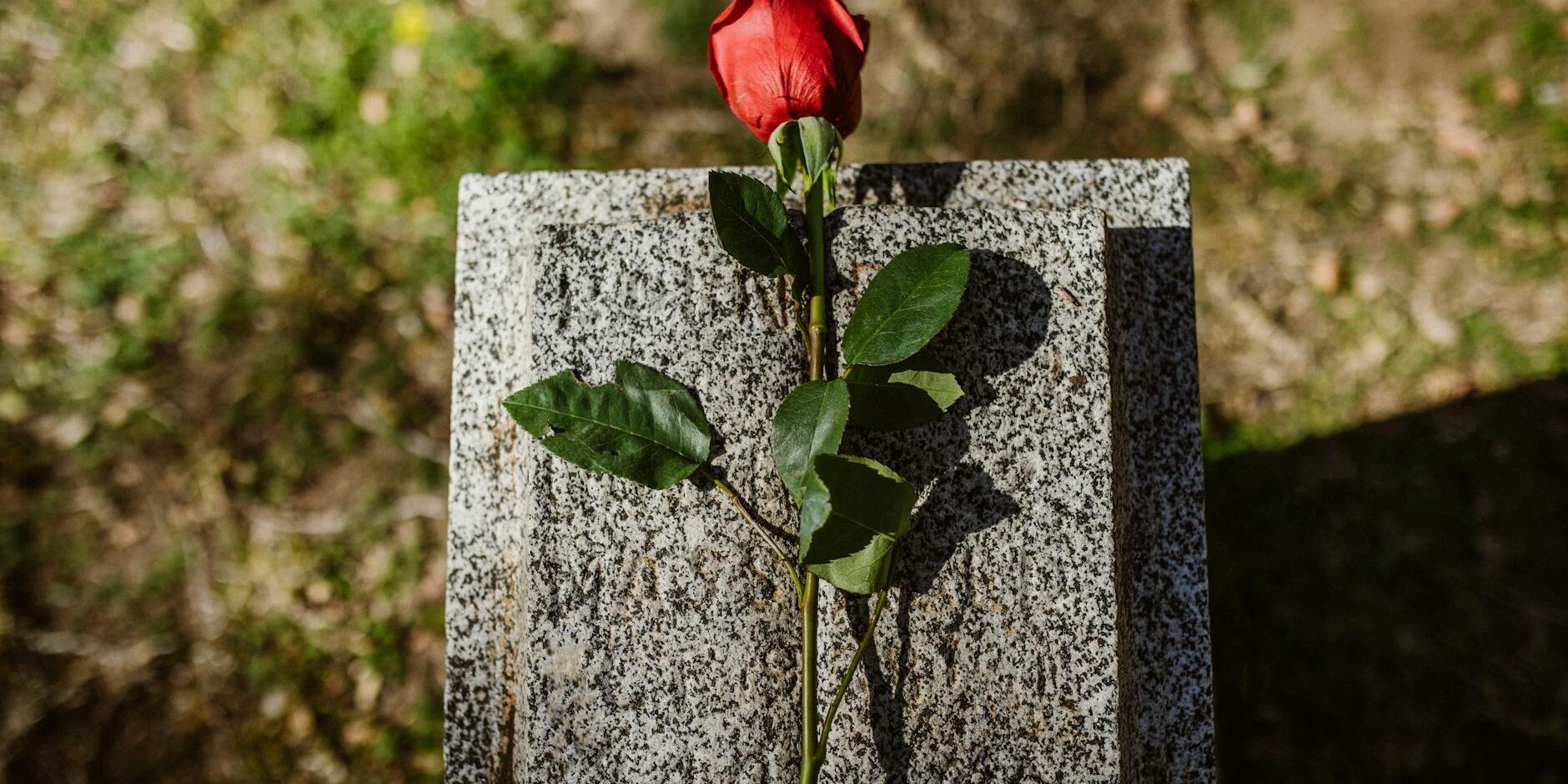 wp_auto_blogger_compassionate-funeral-choices_1749206274 Compassionate Funeral Choices