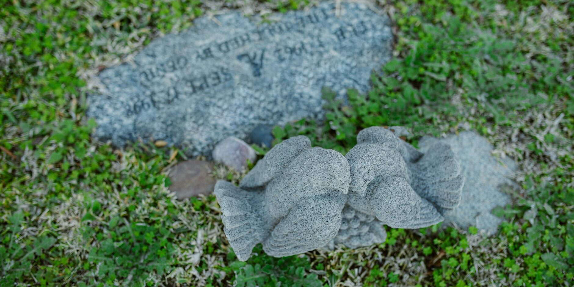 wp_auto_blogger_guiding-final-farewells_1753871802 Guiding Final Farewells