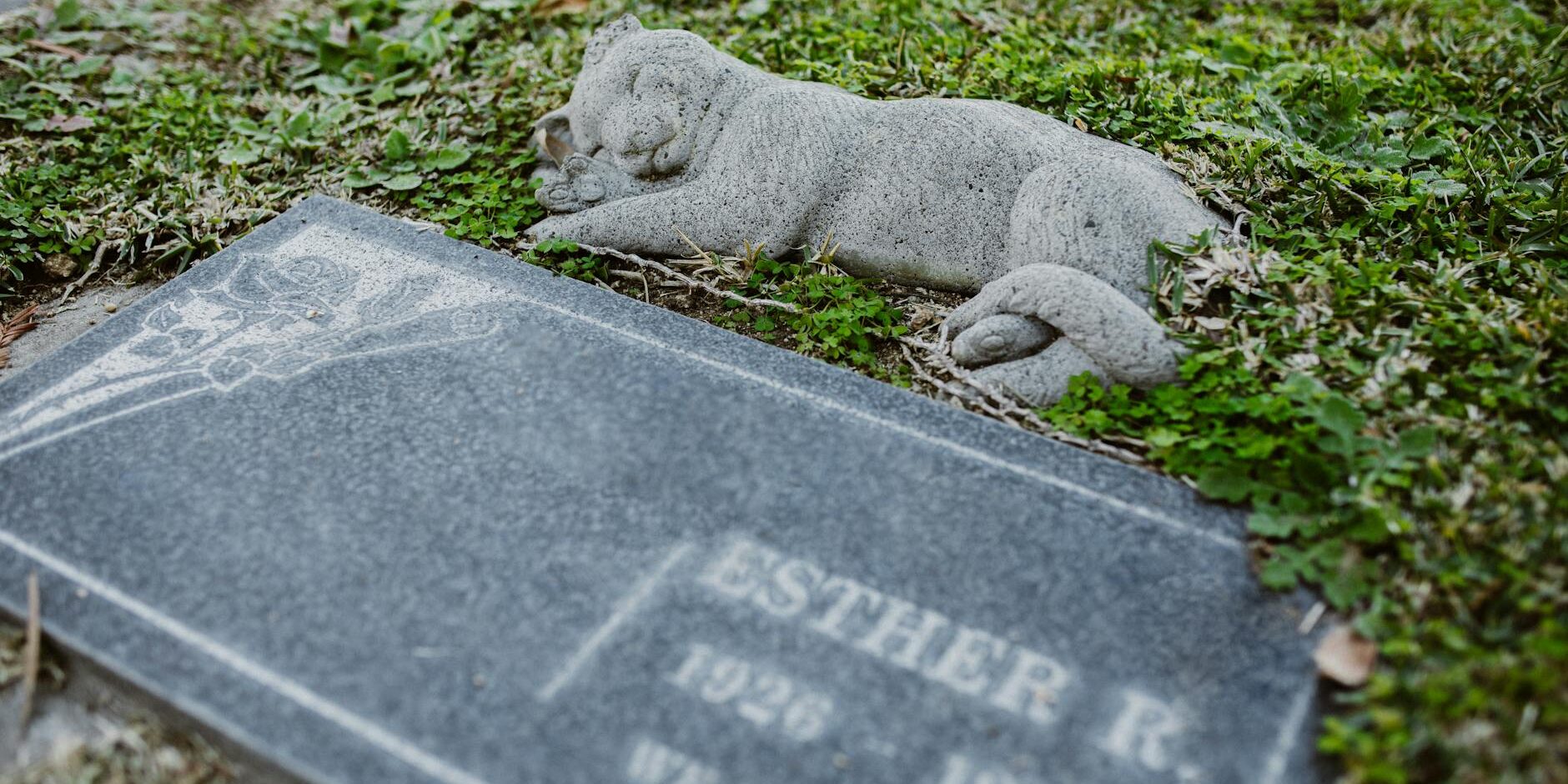 wp_auto_blogger_compassionate-funeral-choices_1757932552 Compassionate Funeral Choices