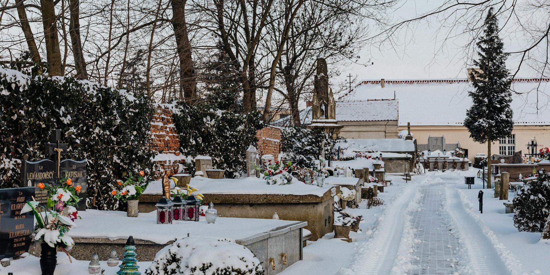 wp_auto_blogger_guiding-final-farewells_1762511539 Guiding Final Farewells