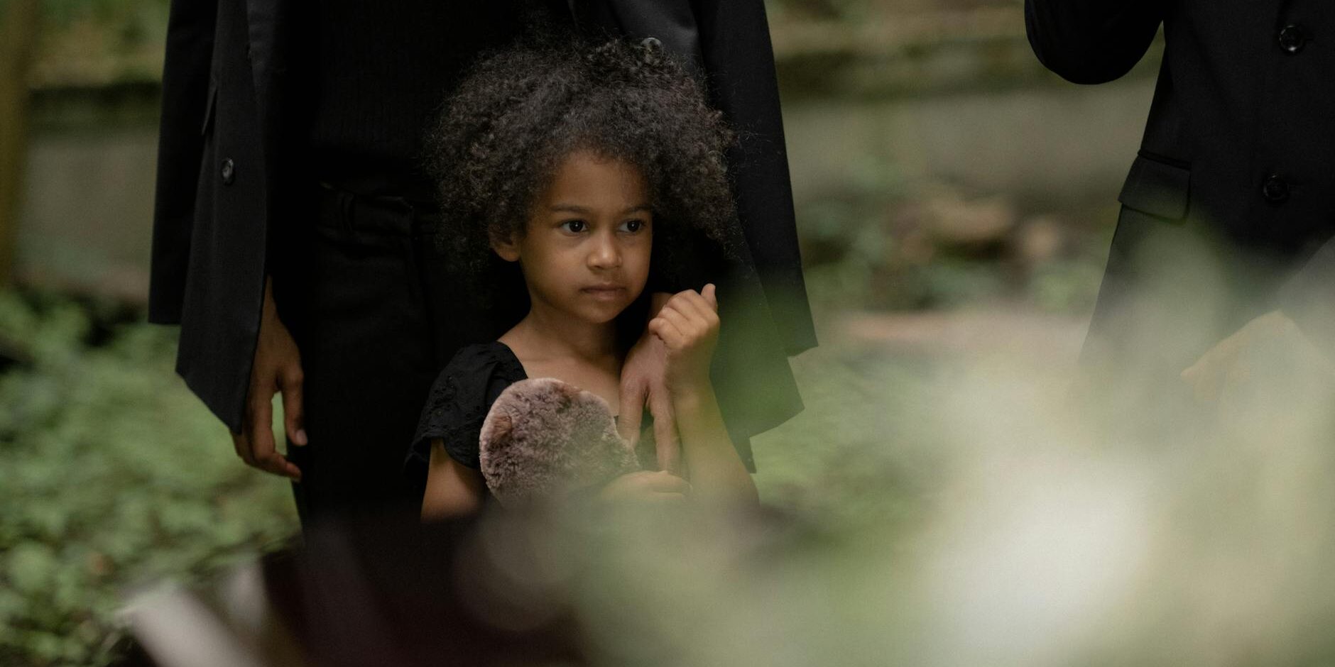 wp_auto_blogger_guiding-final-journeys_1763981179 Guiding Final Journeys