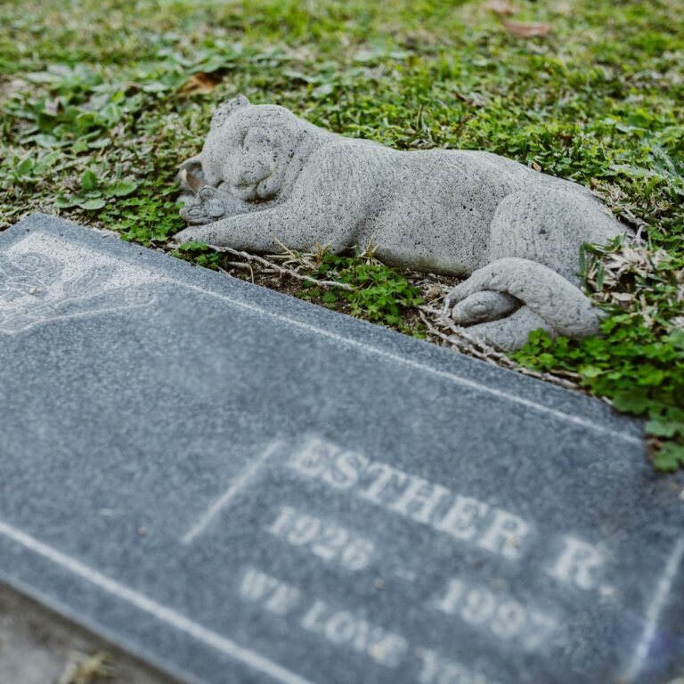 Compassionate Funeral Choices