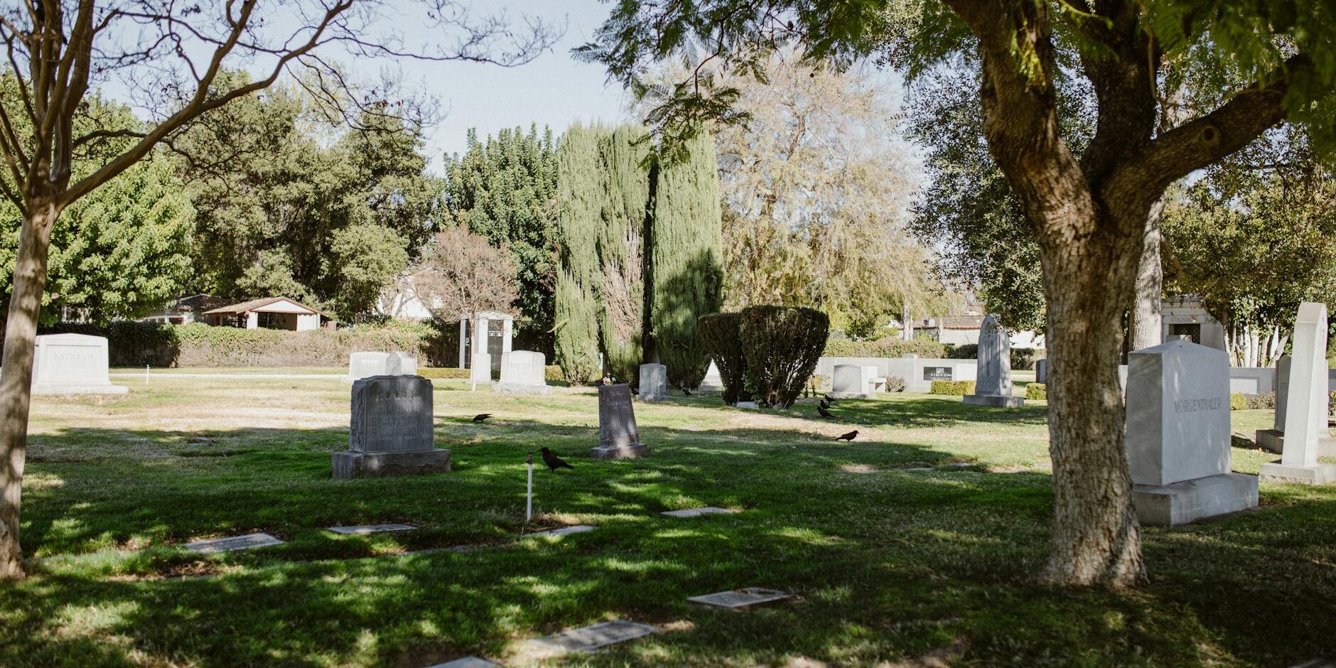 wp_auto_blogger_compassionate-funeral-choices_1765794975 Compassionate Funeral Choices