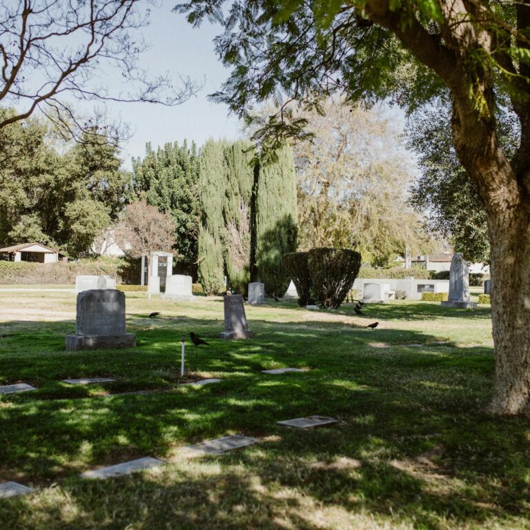 Compassionate Funeral Choices