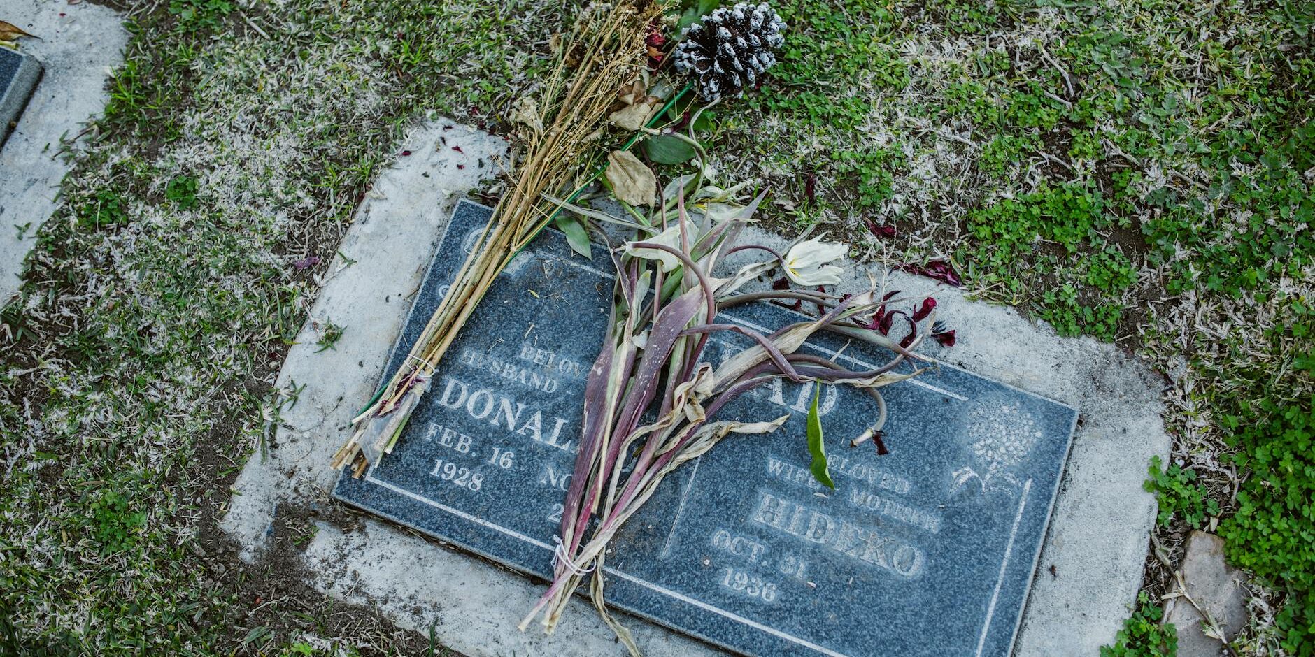 wp_auto_blogger_eco-friendly-funeral-guide_1770374042 Eco-Friendly Funeral Guide