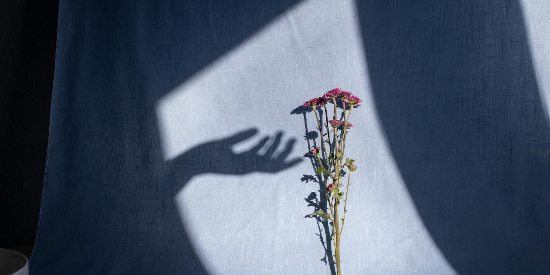 wp_auto_blogger_guiding-farewells-in-sawbridgeworth_1773830115 Guiding Farewells in Sawbridgeworth